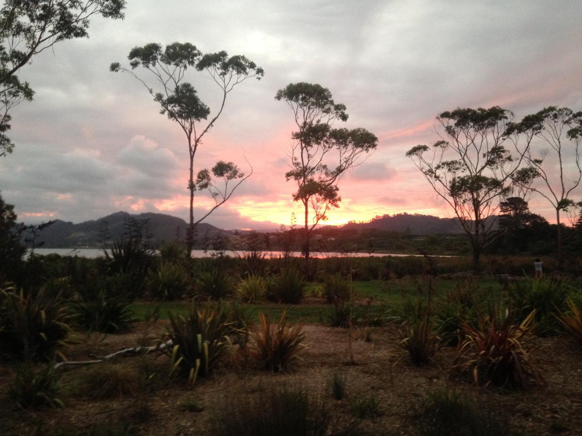 Athenree Hot Springs & 4* Waihi